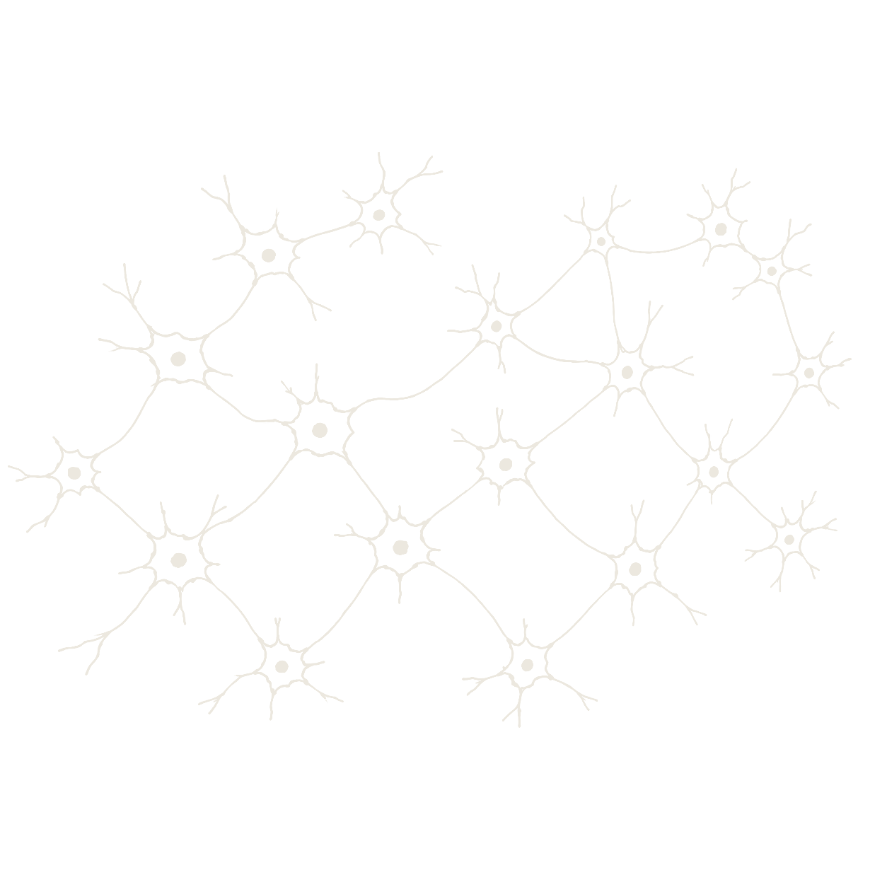 BrainlessLab