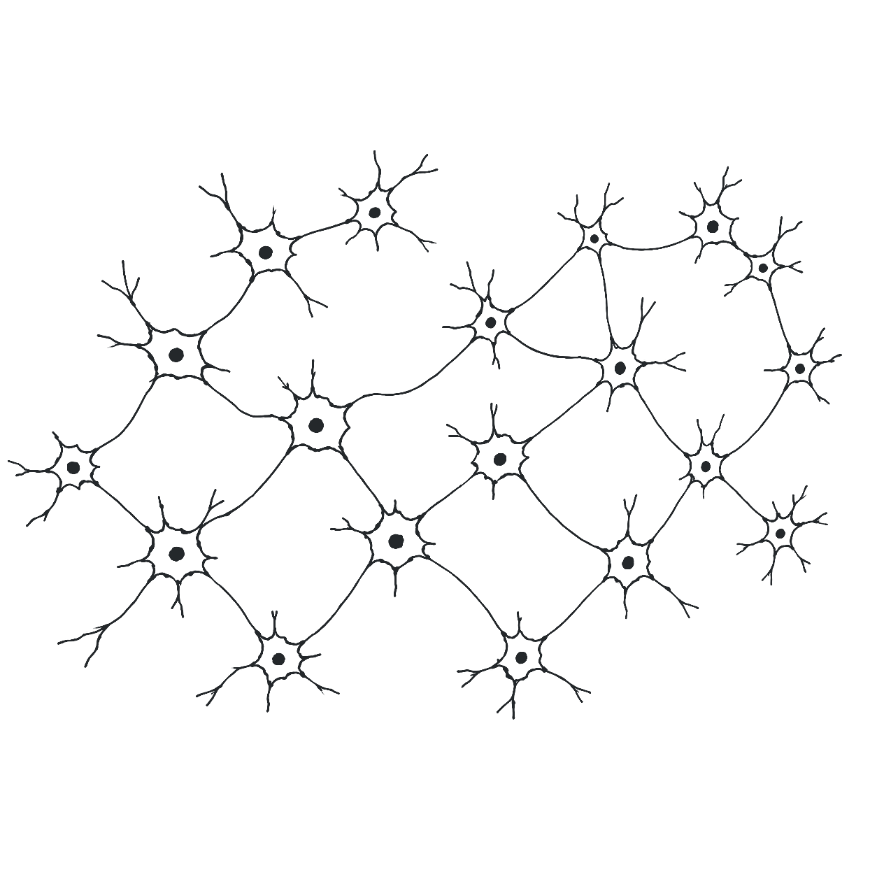 BrainlessLab